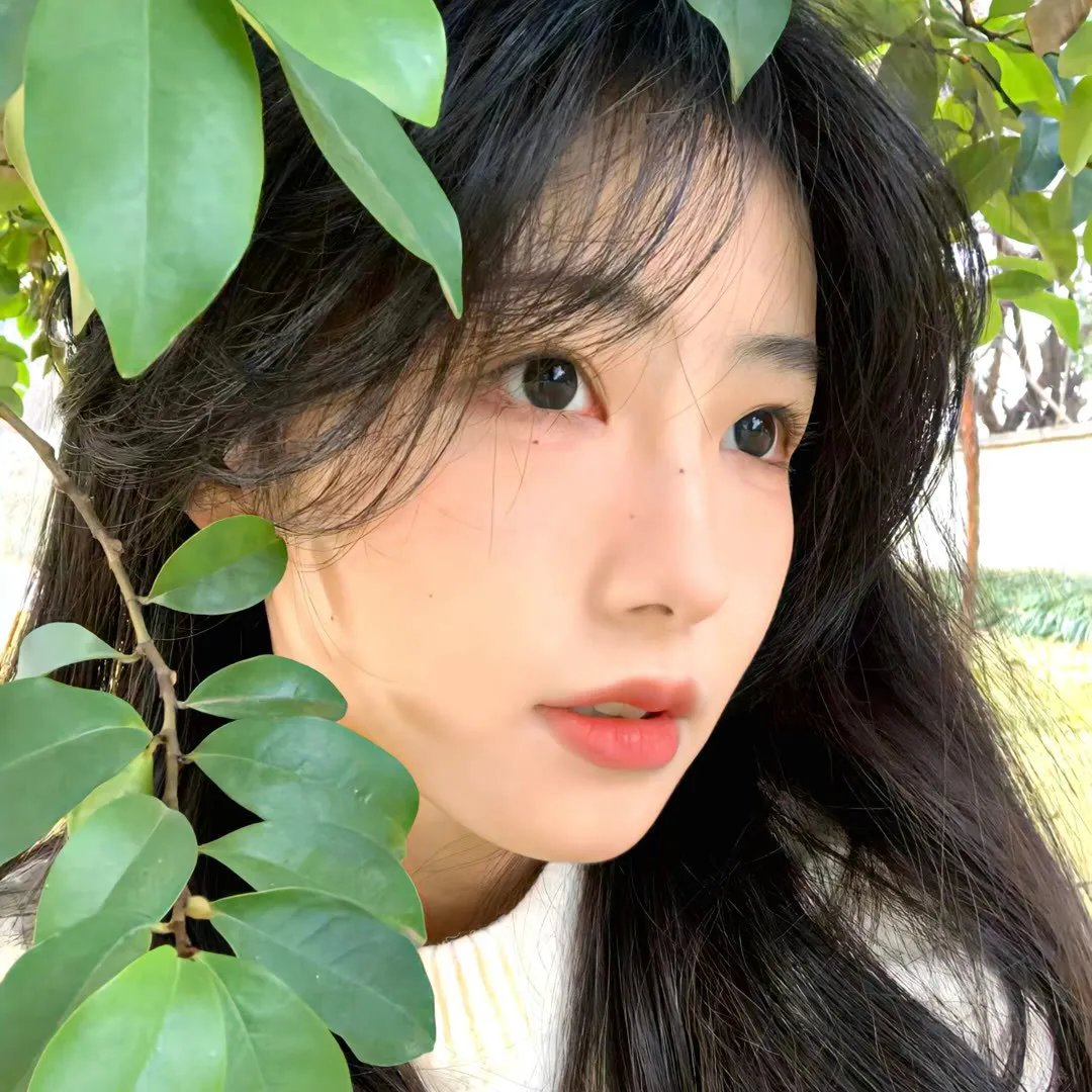 恋马人